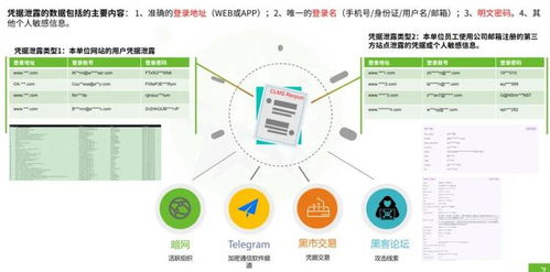 AI驱动全栈安全运营，绿盟科技安全服务能力再获权威认可
