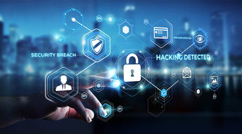 白山云科技荣获可信云安全类技术创新奖，技术服务彰显卓越实力